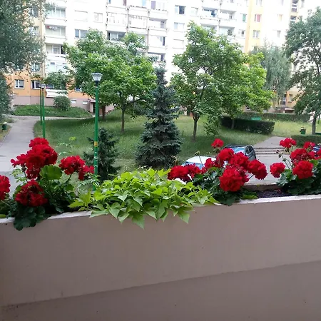 Mieszkanie, Blisko Stadionu Tarczynski Arena, Blisko Hala Orbita ヴロツワフ